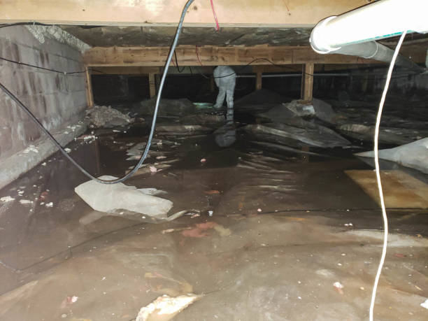 Trusted Water Damage Restoration in Kennedy, CA | Fast, Reliable, and Ready to Assist You